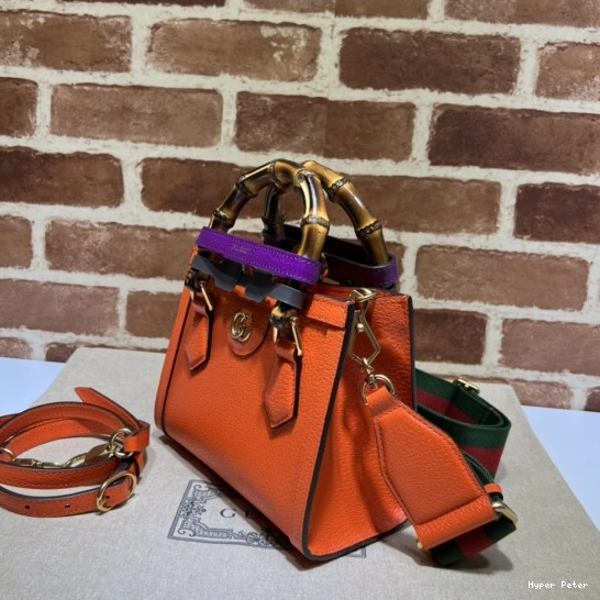 Hyper Peter Diana mini tote Gucci bag 0823